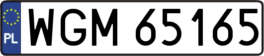 WGM65165