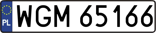 WGM65166