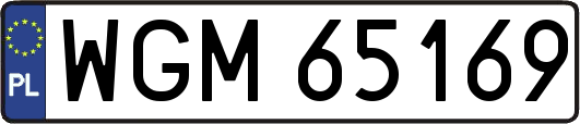 WGM65169
