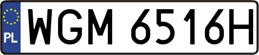 WGM6516H
