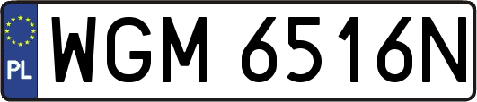 WGM6516N