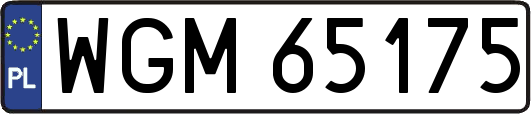 WGM65175