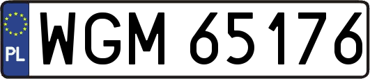 WGM65176