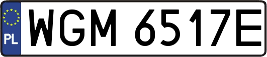 WGM6517E