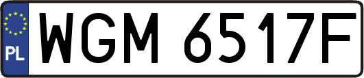 WGM6517F