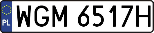 WGM6517H