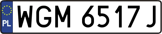 WGM6517J