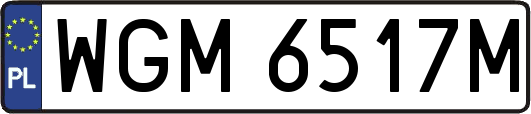 WGM6517M
