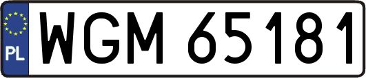 WGM65181