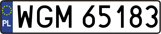 WGM65183