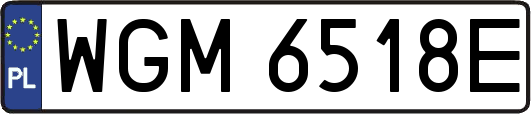 WGM6518E