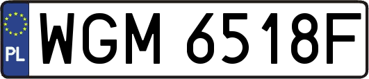 WGM6518F