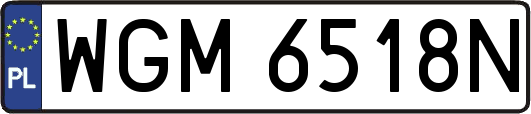 WGM6518N