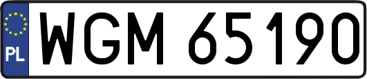 WGM65190