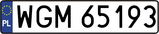 WGM65193