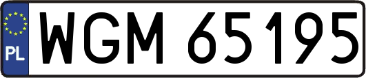 WGM65195