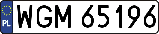 WGM65196