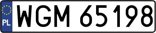 WGM65198