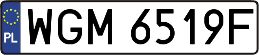 WGM6519F