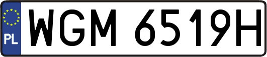 WGM6519H