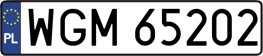 WGM65202