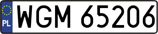 WGM65206