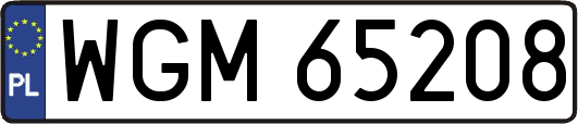 WGM65208