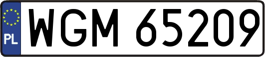 WGM65209