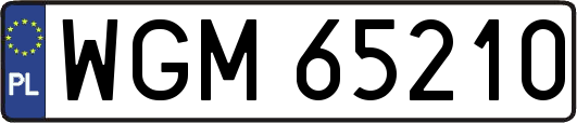WGM65210