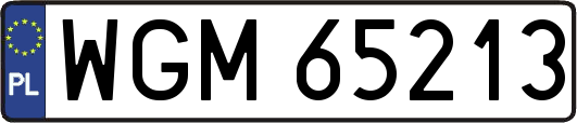 WGM65213