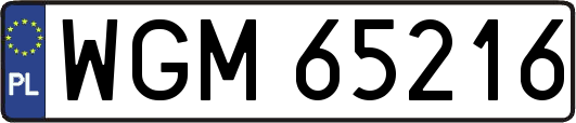 WGM65216