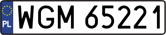 WGM65221