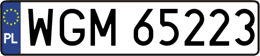 WGM65223