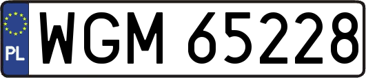 WGM65228
