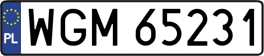 WGM65231
