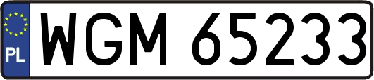 WGM65233