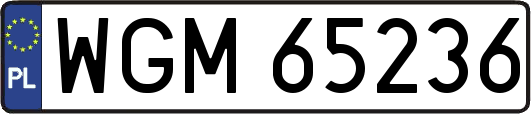 WGM65236
