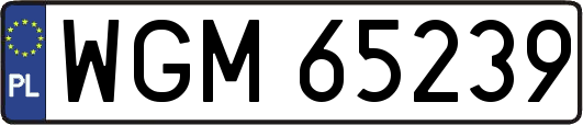 WGM65239