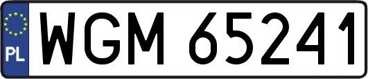 WGM65241