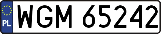 WGM65242