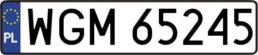 WGM65245