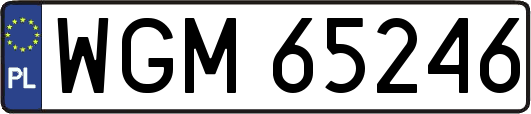 WGM65246