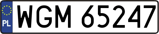 WGM65247