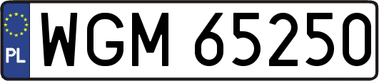 WGM65250