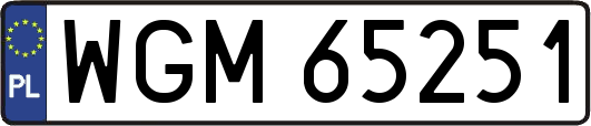 WGM65251