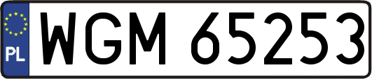 WGM65253