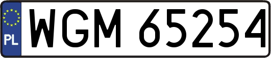WGM65254