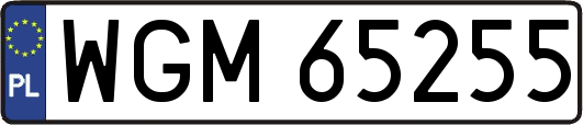 WGM65255