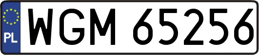 WGM65256