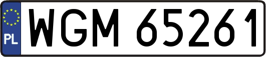 WGM65261
